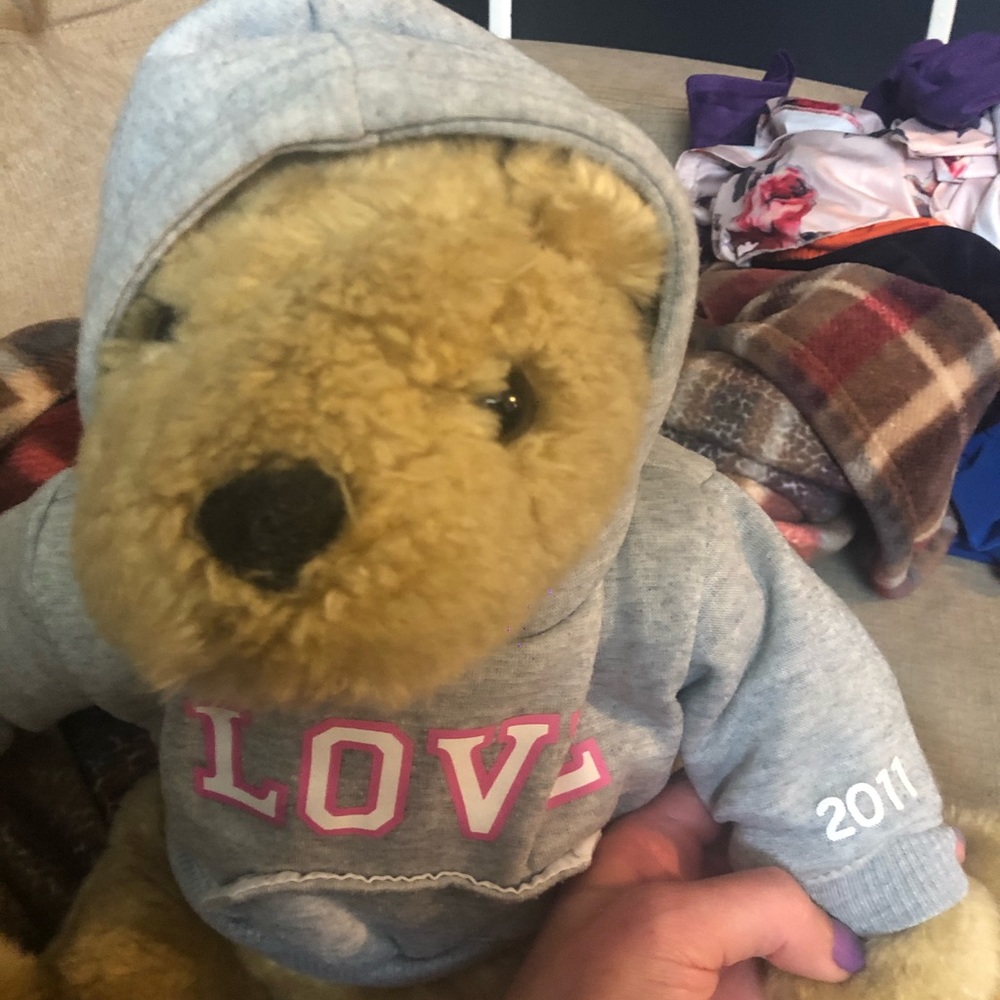 Collectible PINK teddy bear from 2011